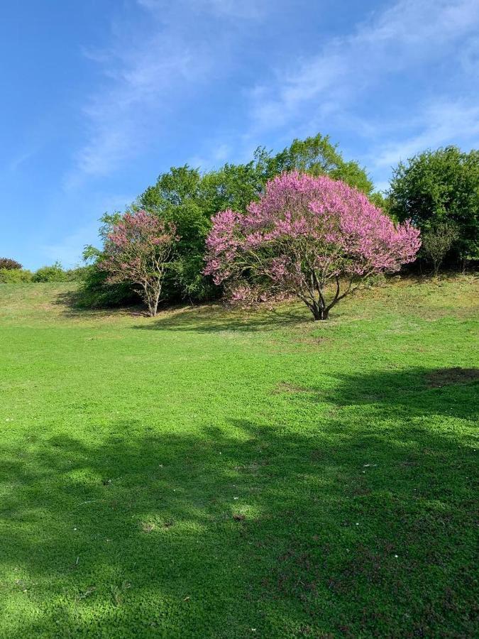 Gite Mella La Courneuve Dış mekan fotoğraf